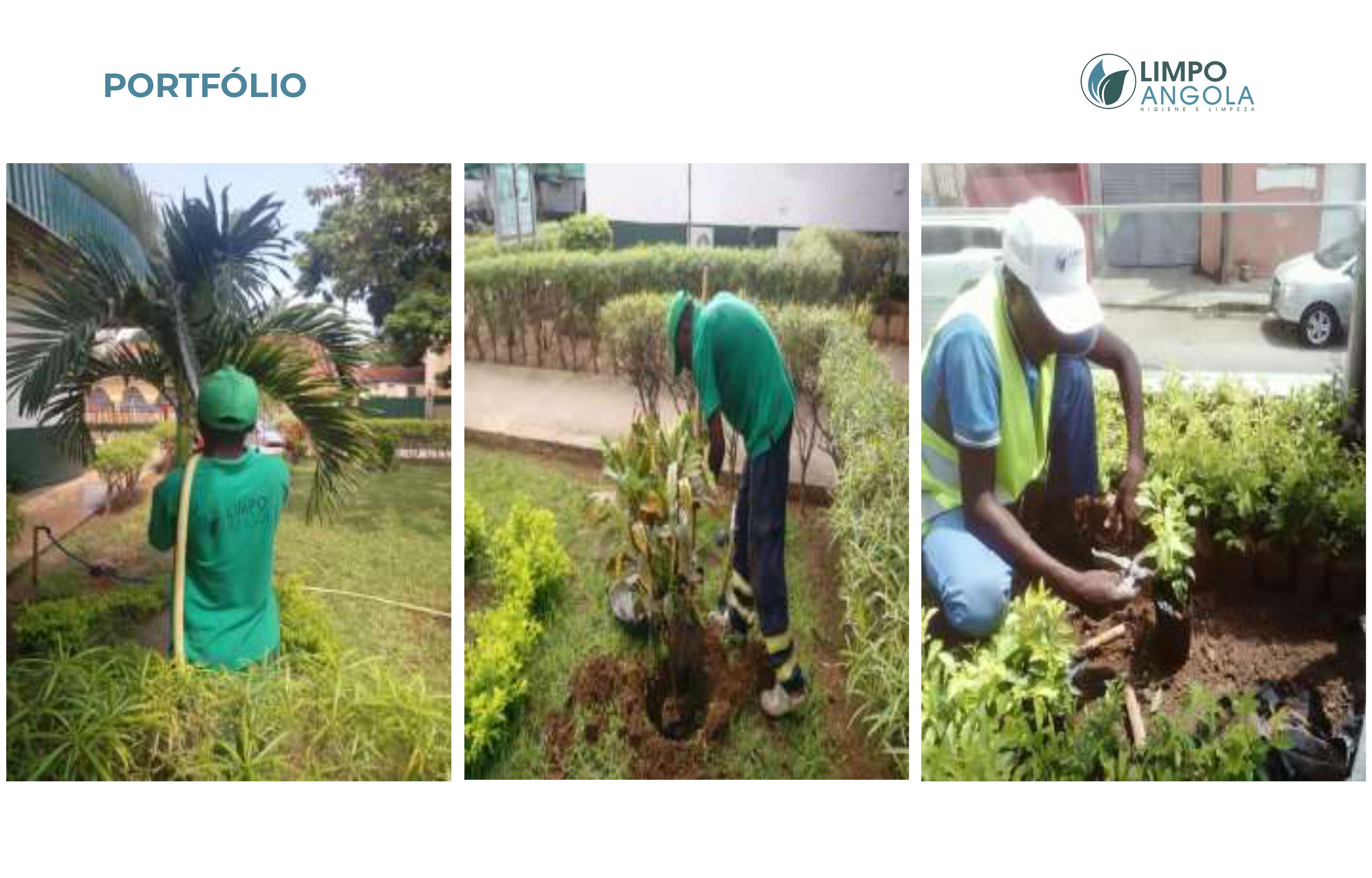 Serviço de Jardinagem